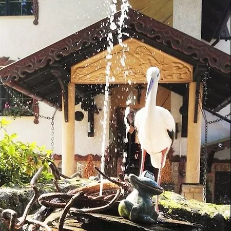 Goral Goralska Osada 홈스테이 *